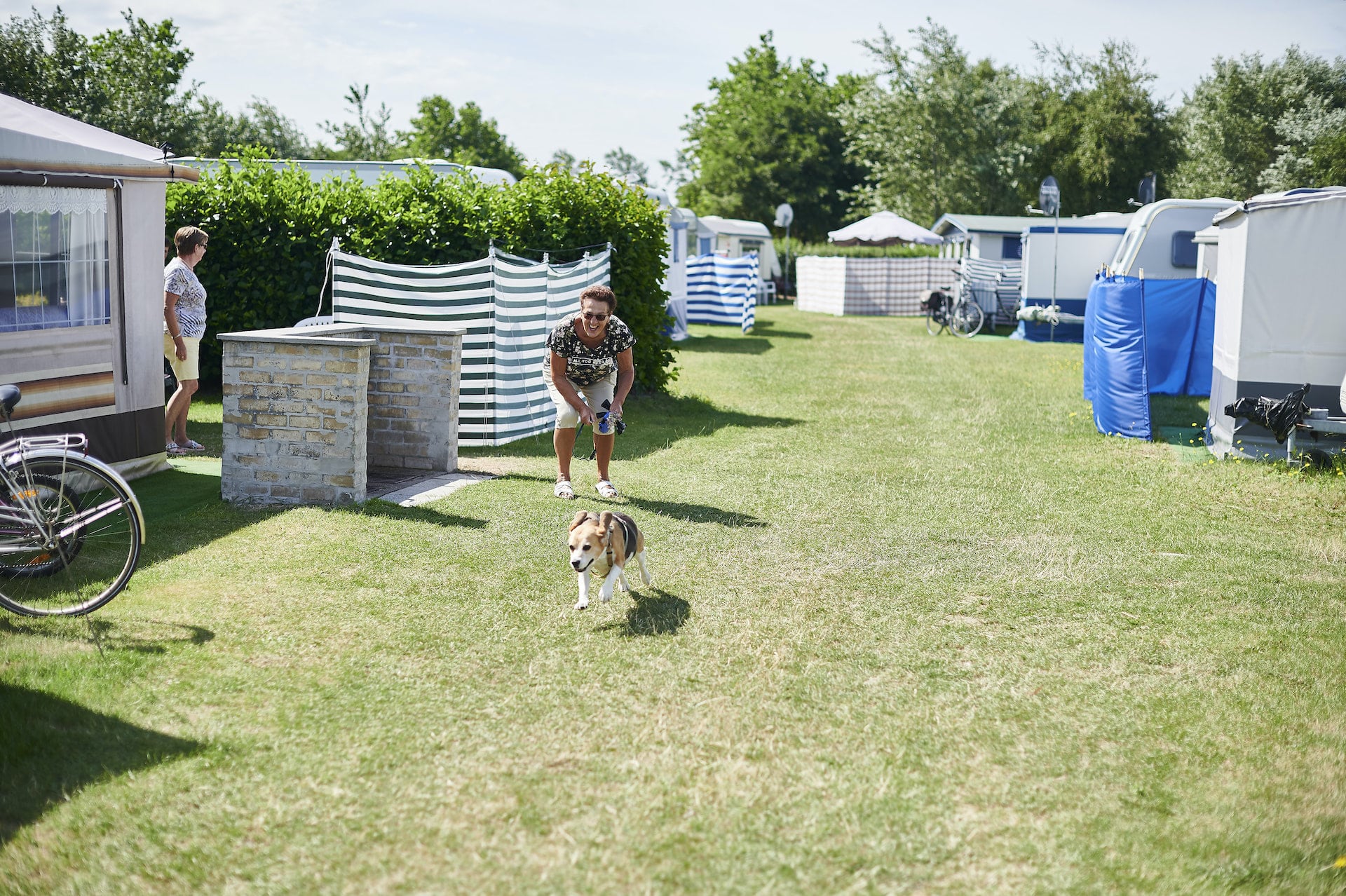 Règlement relatif aux chiens - De Lombarde