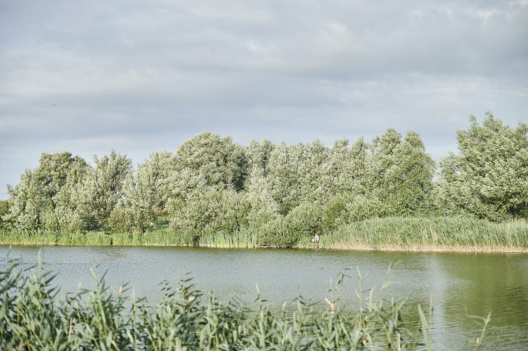 Fischteich - De Lombarde